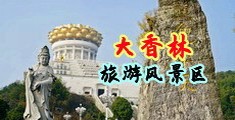 抽插亚洲黄片视频中国浙江-绍兴大香林旅游风景区